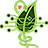 SWAMP